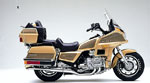 Gold Wing